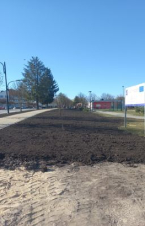 Adaptacja do zmian klimatu