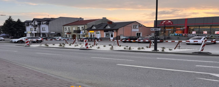 Adaptacja do zmian klimatu