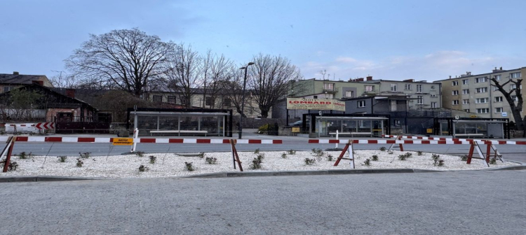 Adaptacja do zmian klimatu