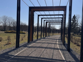 Adaptacja do zmian klimatu