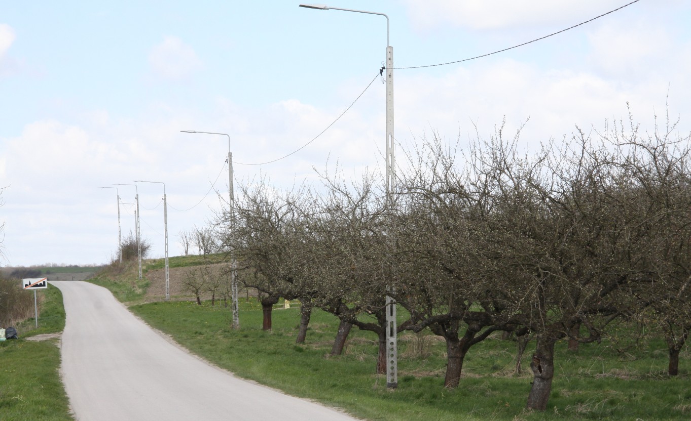 Modernizacja Systemu Oświetlenia Ulicznego w Gminie Busko-Zdrój