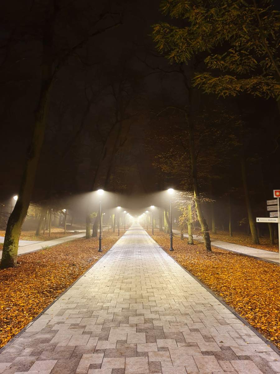 Park Zdrojowy Busko-Zdrój – zachowanie, promocja i udostępnienie