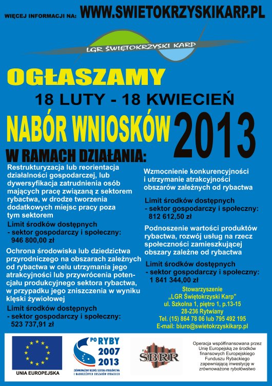 plakat vi 2013