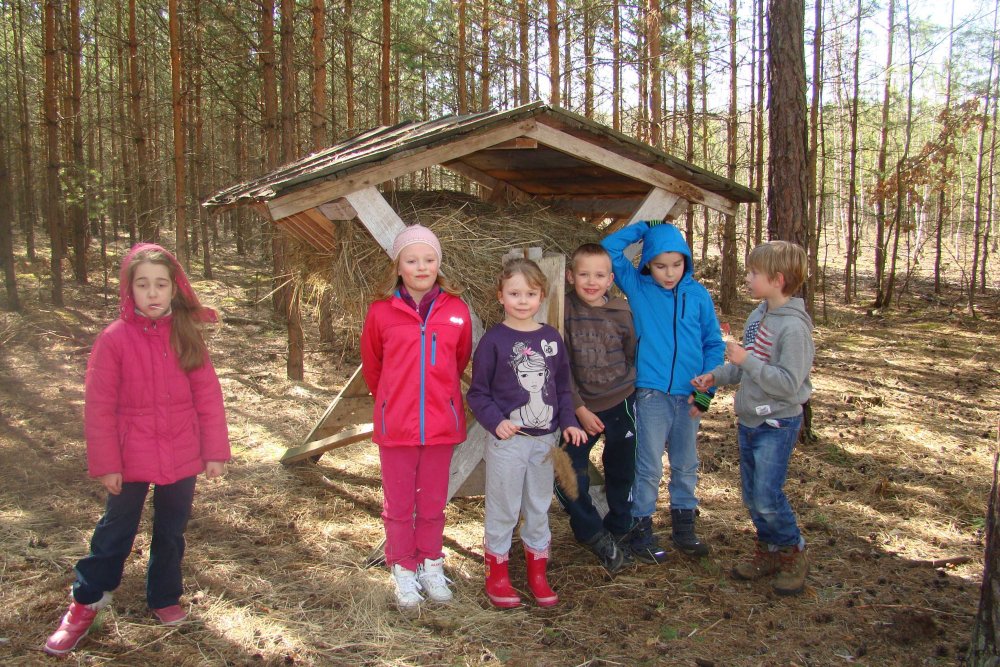 LAS BLIŻEJ NAS