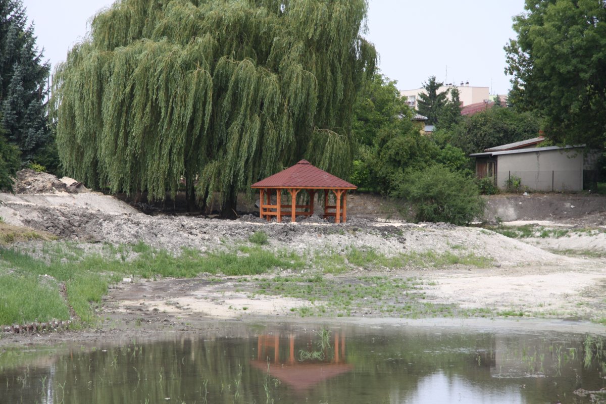 Staw w rewitalizacji