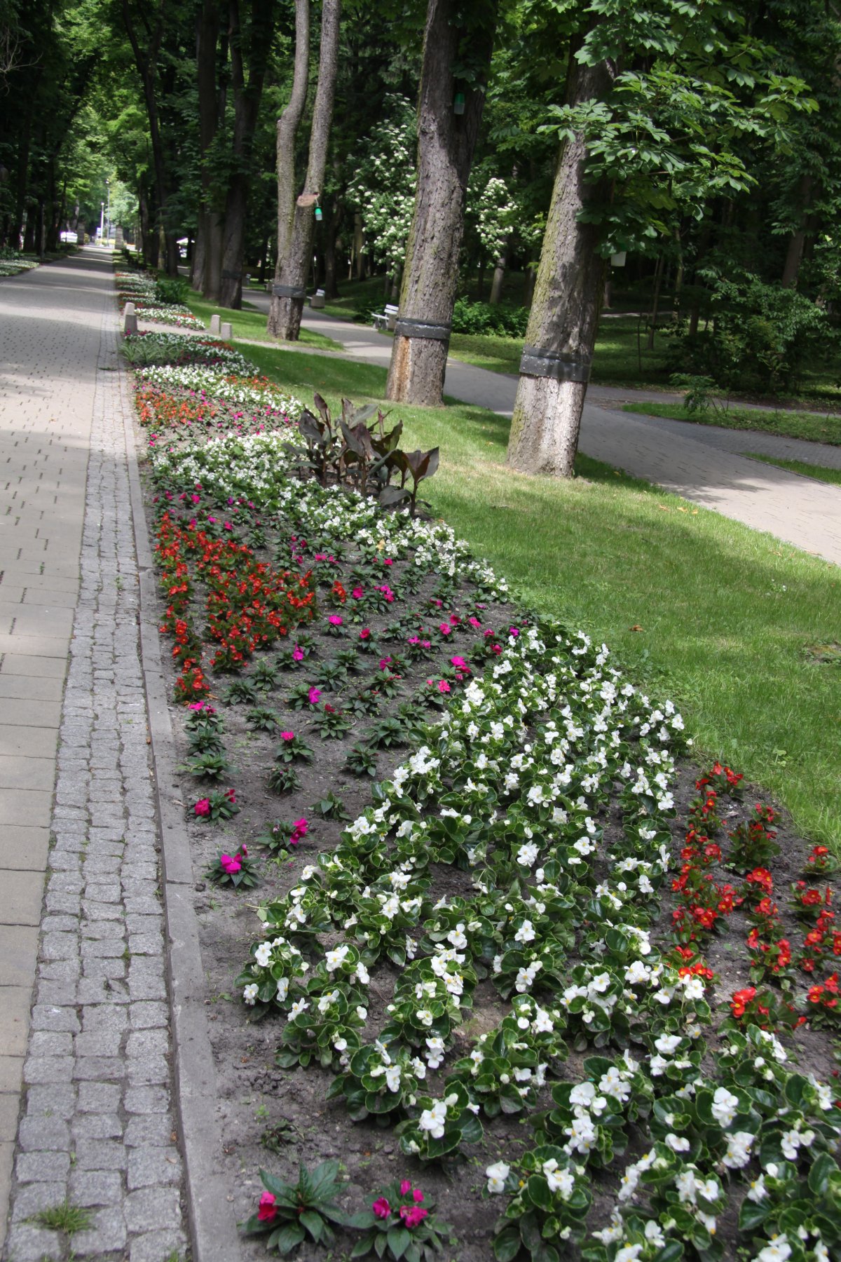 Kolorowe Busko-Zdrój