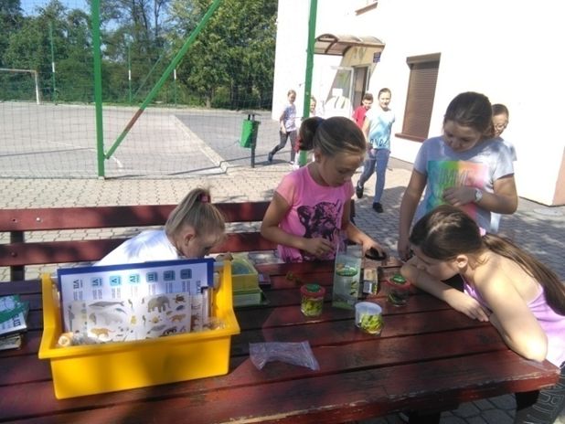 Pracownia edukacji ekologiczno-przyrodniczej w szkołach podstawowych w Gminie Busko-Zdrój.