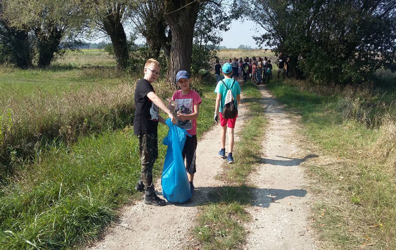 Pracownia edukacji ekologiczno-przyrodniczej w szkołach podstawowych w Gminie Busko-Zdrój.
