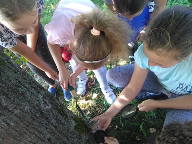 Pracownia edukacji ekologiczno-przyrodniczej w szkołach podstawowych w Gminie Busko-Zdrój.
