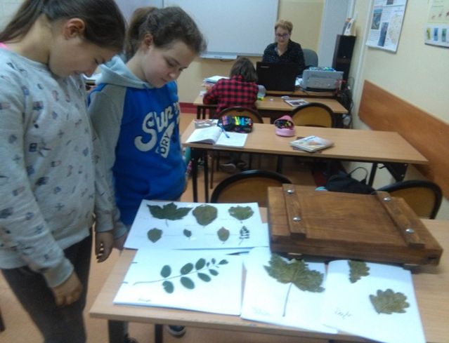 Pracownia edukacji ekologiczno-przyrodniczej w szkołach podstawowych w Gminie Busko-Zdrój.
