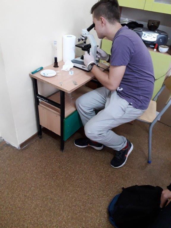 Ciekawy świat spod mikroskopu