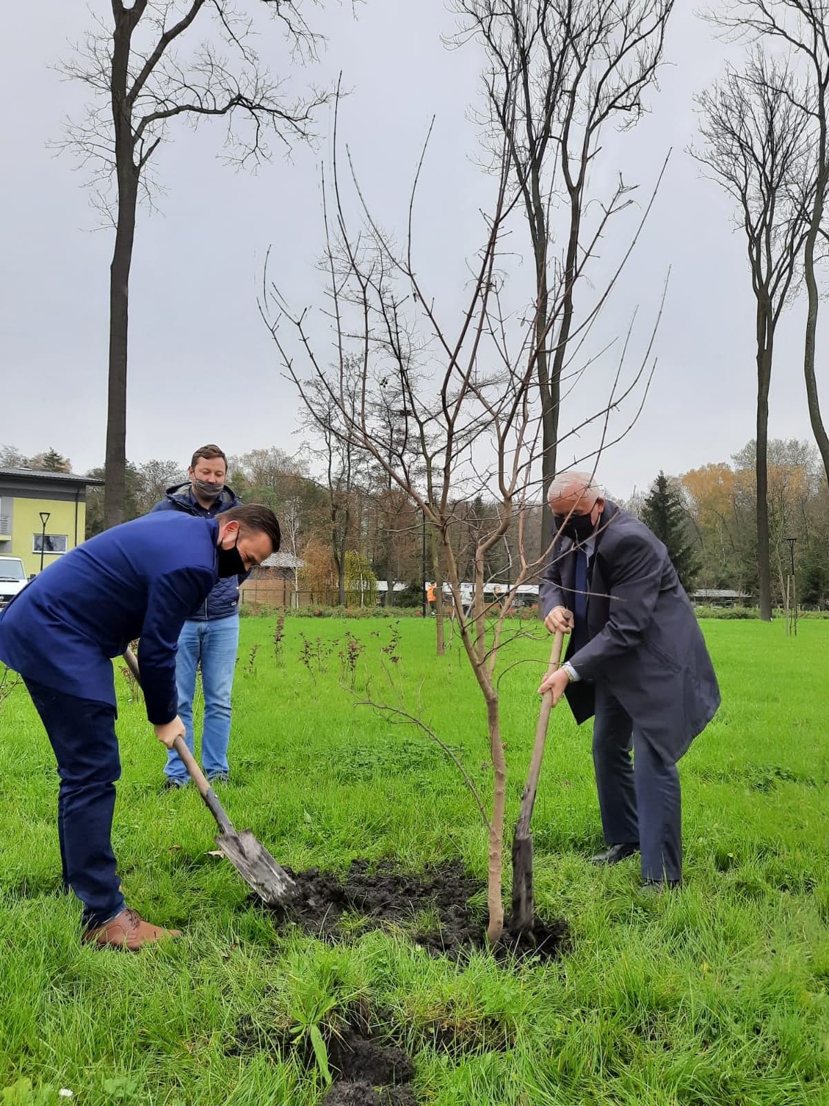 Zdjęcie przedstawia Burmistrza Miasta i Gminy Busko-Zdrój Waldemara Sikorę oraz Jego Zastępcę Michała Marońskiego sadzących jedno z drzew miododajnych - klon tatarski 