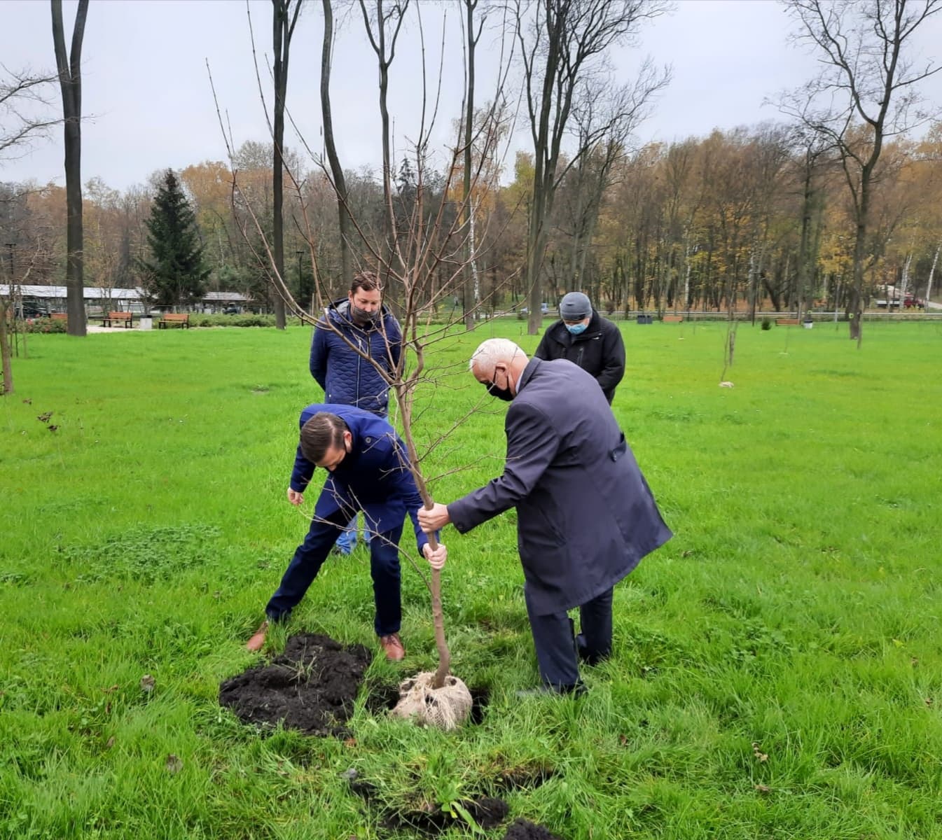 Zdjęcie przedstawia Burmistrza Miasta i Gminy Busko-Zdrój Waldemara Sikorę oraz Jego Zastępcę Michała Marońskiego sadzących jedno z drzew miododajnych - klon tatarski 
