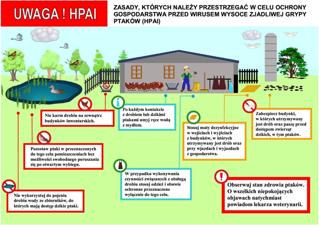 Ulotka informująca