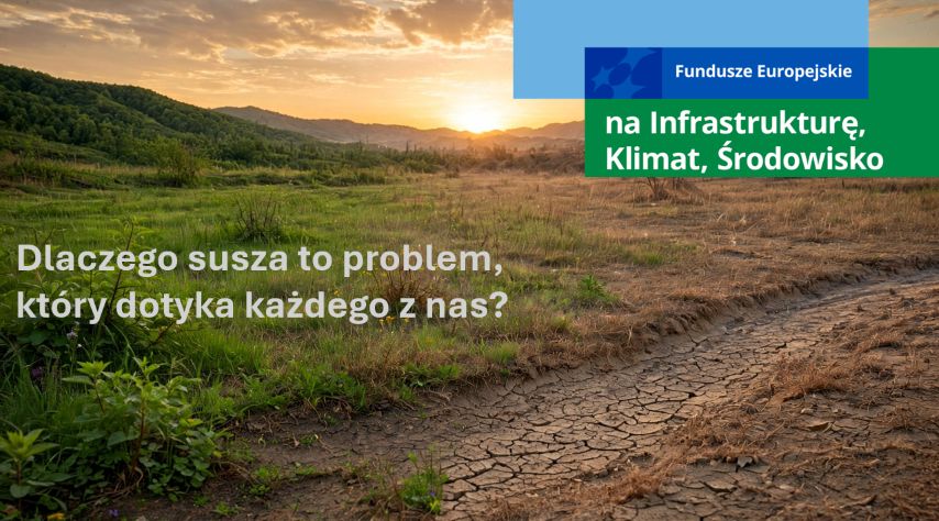 Dlaczego susza to problem, który dotyka każdego z nas?