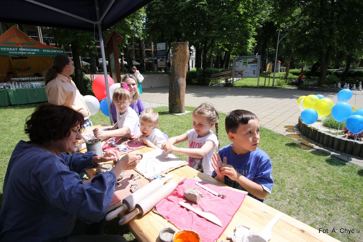 mt_gallery:Festiwal kwiatów